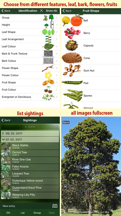 Tree Id Australia - Sydney's Urban Trees & Shrubs screenshot-3