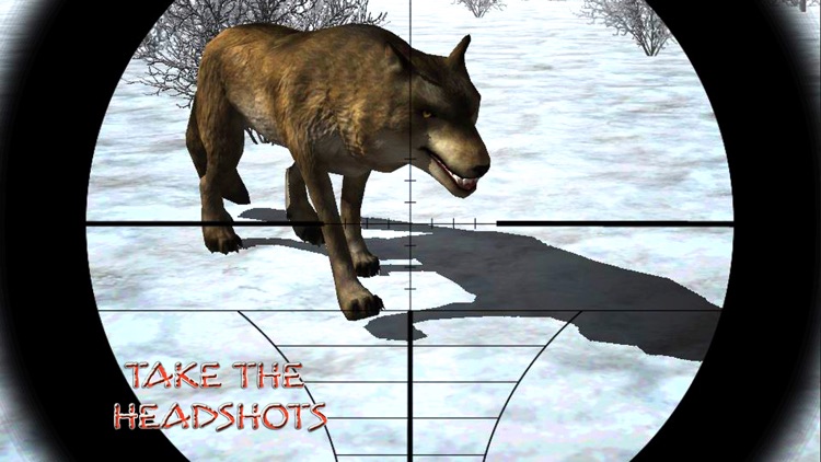 Wild Wolf Snow Hunting: Safari Shooting