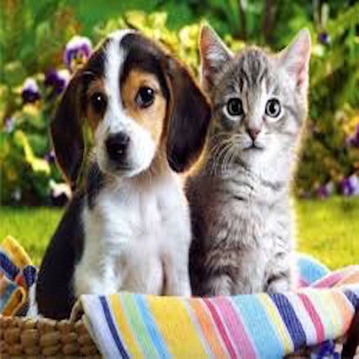 Battle Cat and Dog Icon