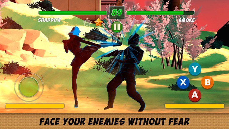 Shadow Kung Fu Fighting 3D - 2 screenshot-3