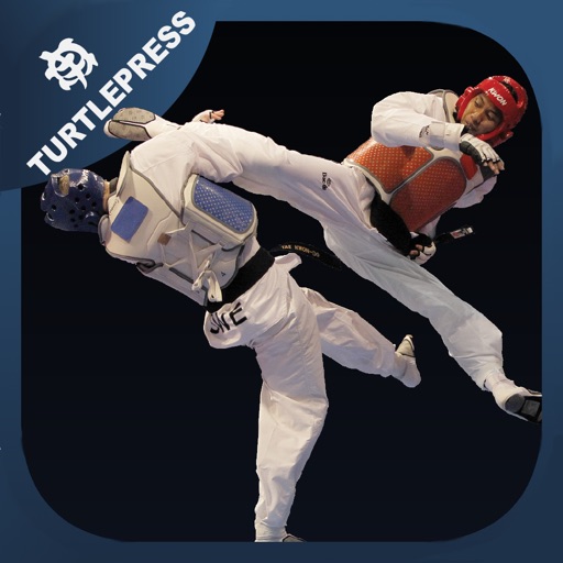 Taekwondo Sparring Skills