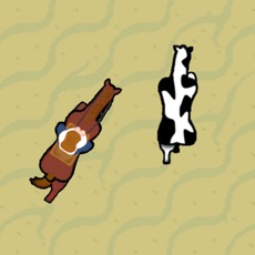 Activities of Cowboy Roundup