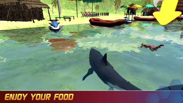 愤怒 鲨鱼 演化  致命 颚 攻击