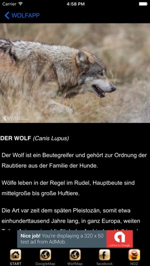 WolfApp(圖4)-速報App