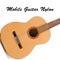 Mobile Guitar Nylon is a Nylon string Guitar simulator with high quality real guitar sound