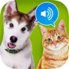 Animal sounds HD !