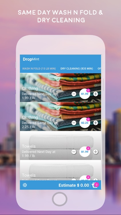 DropMint: Laundry On-Demand