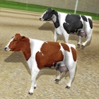 Cow Racing Free Game