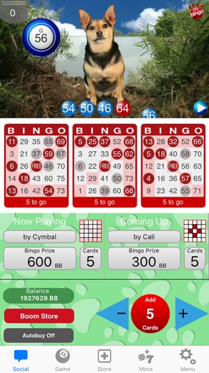 ‎DOG BINGO - Live Dog Bingo & Slots! on the App Store - 300 x 533 jpeg 62kB