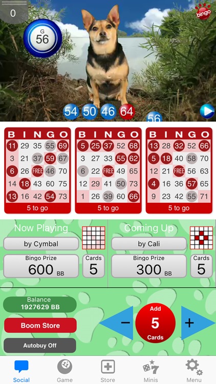 DOG BINGO - Live Dog Bingo & Slots! screenshot-3