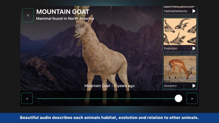 Animals Evolution - A Visual Guide to Evolution screenshot-3