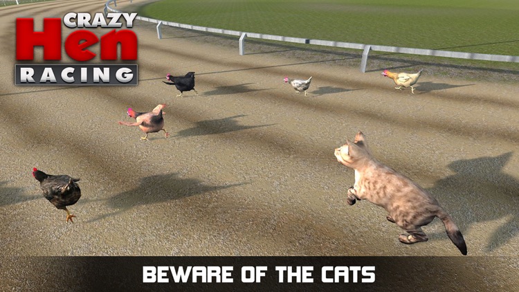 Hen Racing Simulator - Race Free Range Chickens