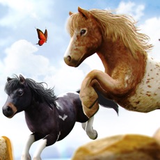 Activities of My Pony Horse Riding - The Horses Racing Game