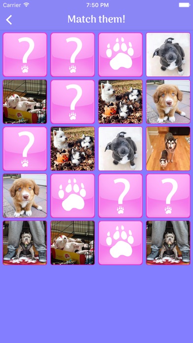 Dogs Memory - Cute Dogs Memory Match Game 1.1.1 IOS -