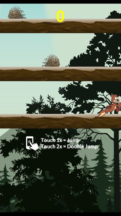 Squirrel Jump games : fun and jumping on the tree