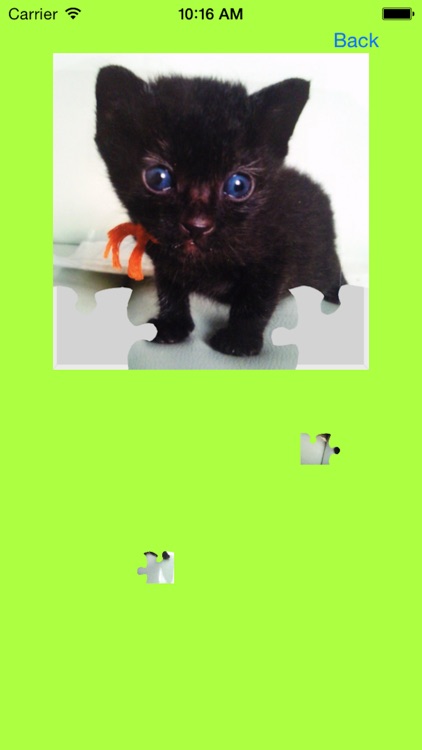 Cat's Jigsaw Puzzles screenshot-3