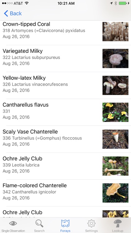 MushroomLog