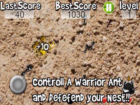 Squish these Ants HD screenshot 3
