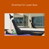 Stretches for lower back