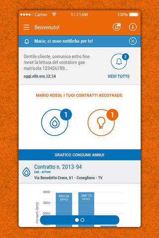 Bluemeta App gas e luce screenshot 3