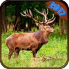 2K17 Deer Hunting Adventure