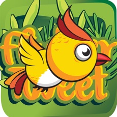 Activities of Flutter Tweet
