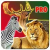 Extreme Sniper Animal Hunting Shooter Pro