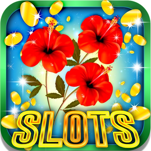 Daisy and Tulips Slot Machine:Play the games iOS App