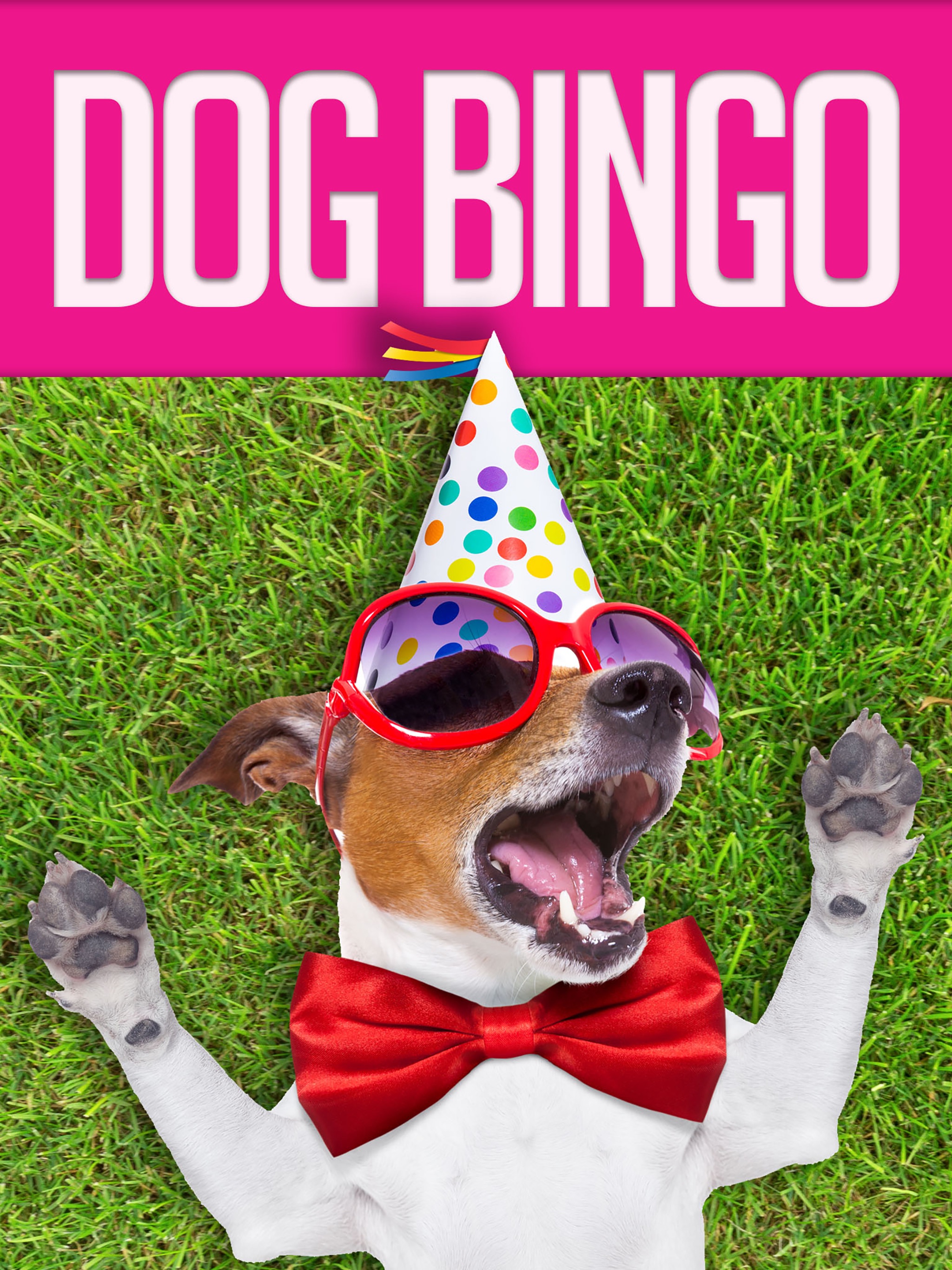 Boom Bingo Play Live Bingo & Slots For Free