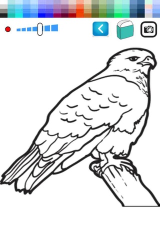 Bird Animals Coloring Page Game For Kids screenshot 2