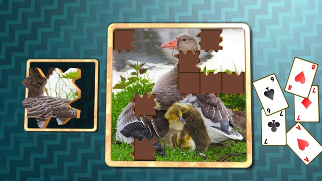 Jigsaw Solitaire Baby Animals(圖4)-速報App