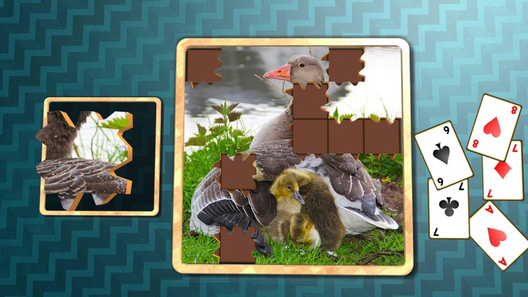 Jigsaw Solitaire Baby Animals screenshot-3