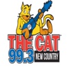 99.3 The Cat (WWKT FM)