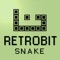 Snake (Retrobit)