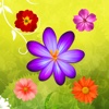 Flower Beautiful Puzzle Match 3 Games