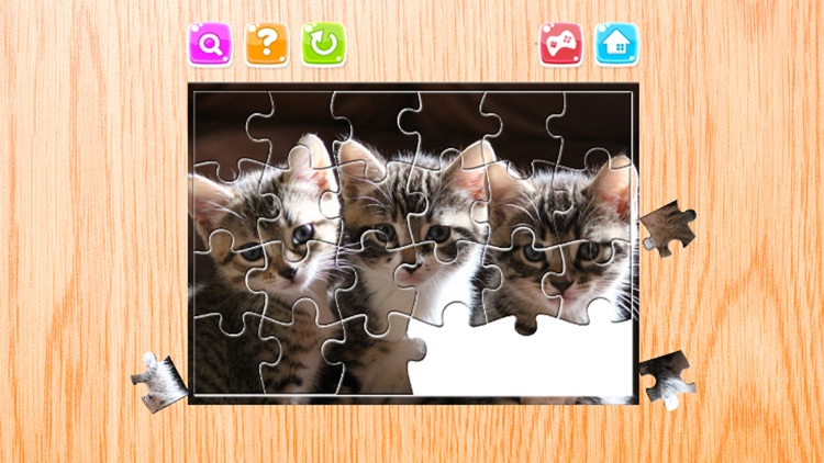 Cat Jigsaw Puzzles Game Animals for Adults