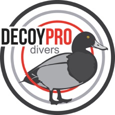 Activities of Diver Duck Hunting Decoy Spreads - DecoyPro