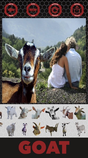 Goat stickers - 照片編輯器山羊貼紙(圖1)-速報App