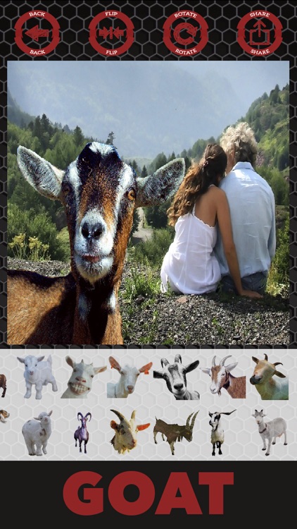 goat app sticker