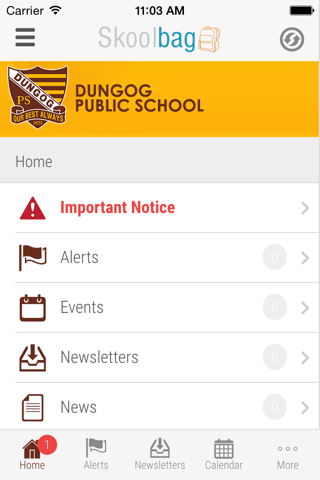 Dungog Public School screenshot 2