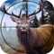 Welcome to the beautiful real jungle environment in this Hunting Adventure Dear Jungle game