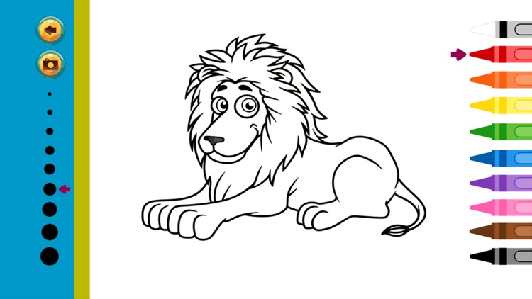 Zoo Coloring Book : animals color pages for adults