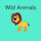 Wild Animals Flashcard for babies and preschool