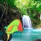 Discover the most beautiful places with the Costa Rica Travel- your guide with discount