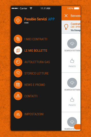 PasubioServizi App gas e luce screenshot 4