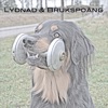 Lydnads- och Brukspoäng