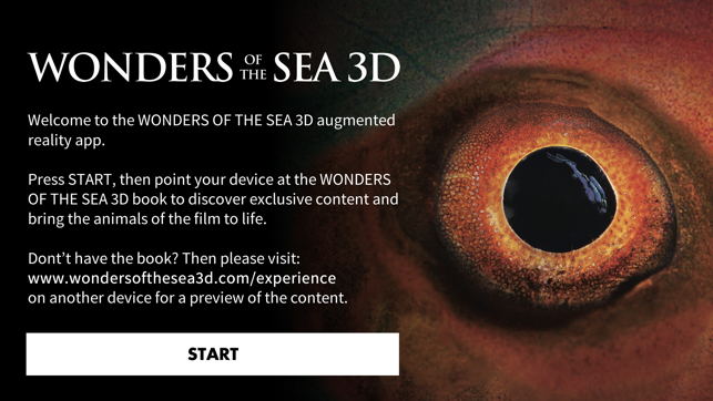 Wonders Of The Sea