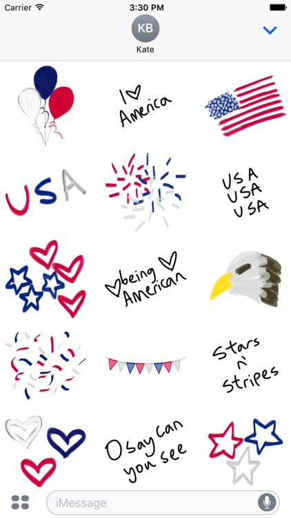 America Nation Sticker - USA Stickers for Photos