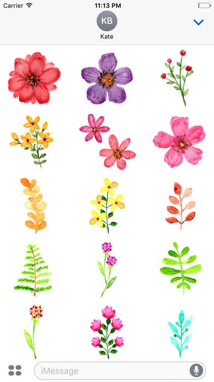 watercolor spring flowers stickers by appbubbly