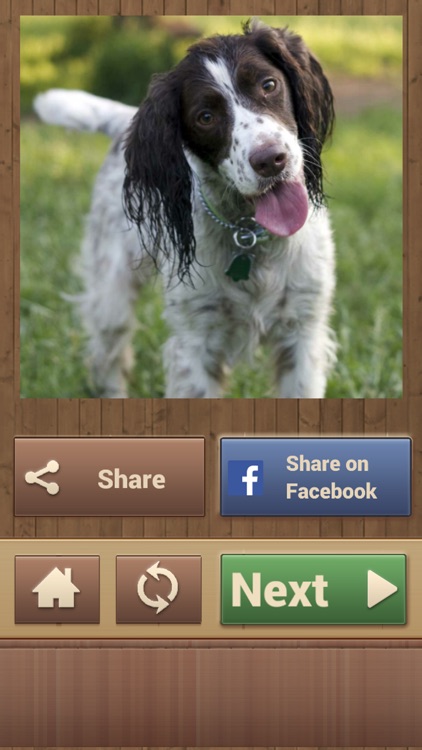 Dog Jigsaw Puzzles screenshot-4